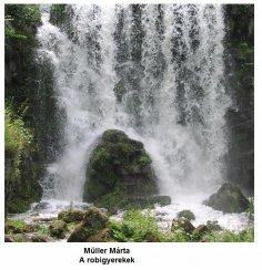 eBook: A robigyerekek