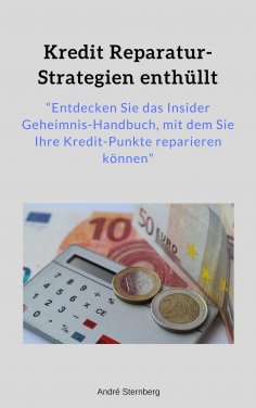 eBook: Kredit Reparatur-Strategien enthüllt