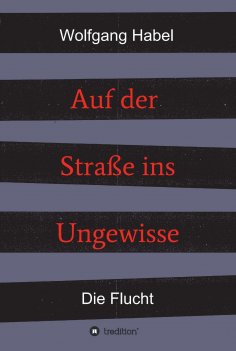 ebook: Auf der Straße ins Ungewisse