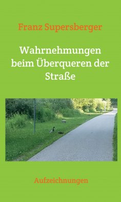 ebook: Wahrnehmungen beim Überqueren der Straße