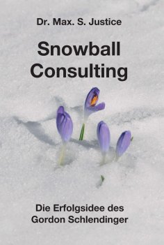 eBook: Snowball Consulting