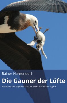 ebook: Die Gauner der Lüfte (gekürzte Version)
