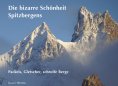 eBook: Spitzbergens bizarre Schönheit