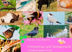 ebook: Himmelblau und Sonnenreich