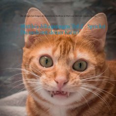 eBook: Matthi's Alltagssorgen Teil 2 - Sprichst Du auch mit deiner Katze?