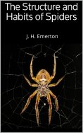 eBook: The Structure and Habits of Spiders