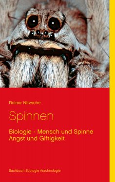 eBook: Spinnen