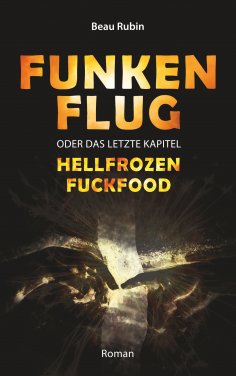 ebook: Funkenflug