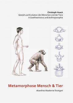 ebook: Metamorphose Mensch und Tier