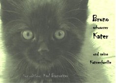 eBook: Bruno schwarzer Kater