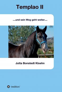 ebook: Templao II