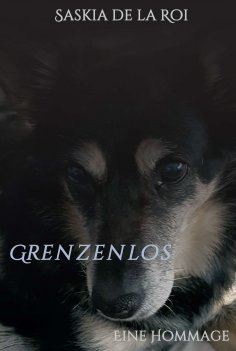 ebook: Grenzenlos