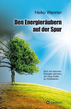 ebook: Den  Energieräubern  auf der Spur