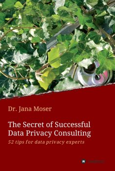 eBook: The Secret of Successful  Data Privacy Consulting