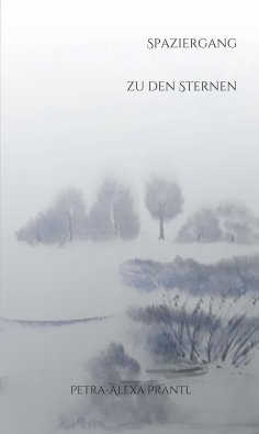 eBook: Spaziergang zu den Sternen