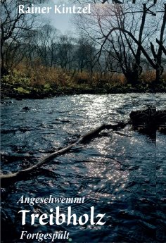 eBook: Treibholz