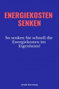 eBook: Energiekosten senkenEnergiekosten senken