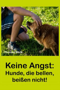 ebook: Keine Angst:
