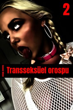 eBook: Transseksüel orospu 2
