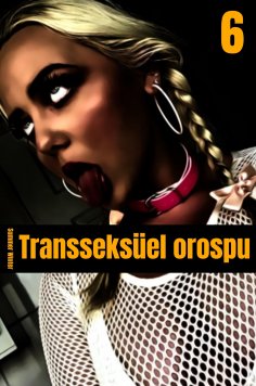 eBook: Transseksüel orospu 6