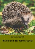 eBook: Fritzle und der Winterschlaf