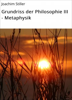 ebook: Grundriss der Philosophie III - Metaphysik
