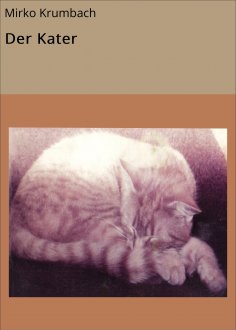 eBook: Der Kater