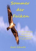 eBook: Sommer der Falken