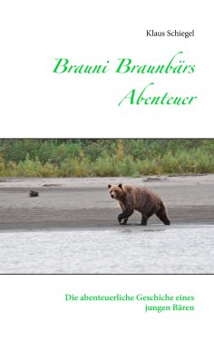 ebook: Brauni Braunbärs Abenteuer
