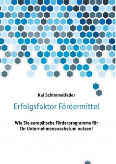 ebook: Erfolgsfaktor Fördermittel