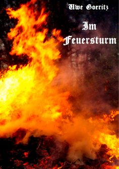 eBook: Im Feuersturm
