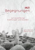 eBook: Ambigue Begegnungen