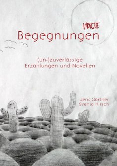 eBook: Ambigue Begegnungen