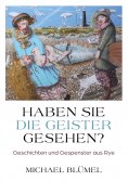 eBook: Haben Sie die Geister gesehen?