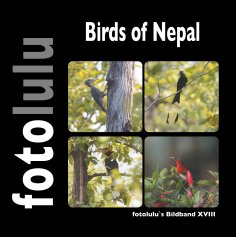 eBook: Birds of Nepal