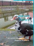 ebook: Lucie und Richard