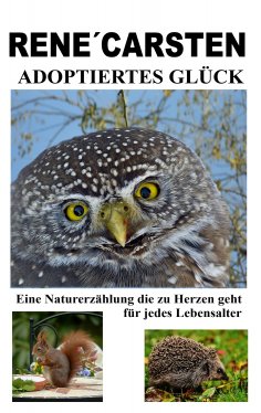 eBook: Adoptiertes Glück