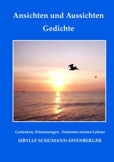 ebook: Ansichten und Aussichten