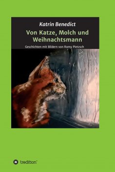 eBook: Von Katze, Molch und Weihnachtsmann