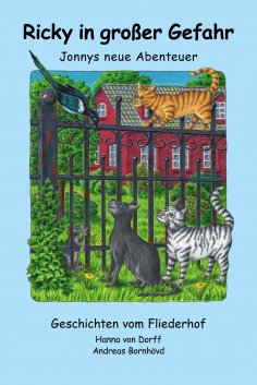 ebook: Ricky in großer Gefahr