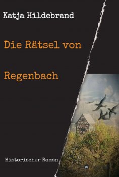 ebook: Die Rätsel von Regenbach