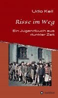 eBook: Risse im Weg