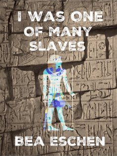 ebook: I Was One Of Many Slaves