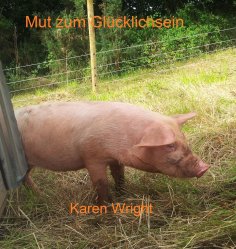 eBook: Mut zum Glücklichsein