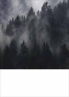 eBook: Yu Bogota!