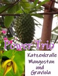 ebook: Power Trio