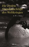 ebook: Die ersten Stundenschläge des Weltkrieges
