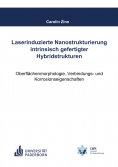 ebook: Laserinduzierte Nanostrukturierung intrinsisch gefertigter Hybridstrukturen