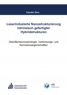 ebook: Laserinduzierte Nanostrukturierung intrinsisch gefertigter Hybridstrukturen
