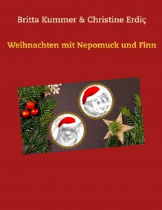 eBook: Weihnachten mit Nepomuck und Finn